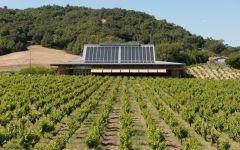 Ridge Vineyards Lytton Springs Winery Winery Image