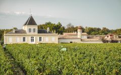 Chateau Brane-Cantenac Wine - Learn About & Buy Online | Wine.com