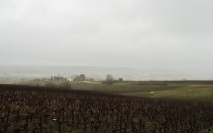 Domaine Hubert Brochard Thauvenay Winery Image