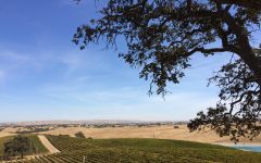 Iron + Sand El Pomar District AVA Winery Image