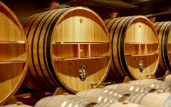 Lanson Lanson Winery Winery Image