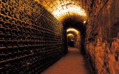 Villa Sandi Galleria Winery Image