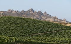 Chalone Vineyard Winery Image