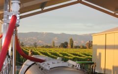Wairau River Wairau River Vineyard Winery Image