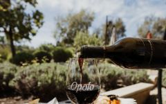 Opolo Summit Creek Zinfandel 2023 | Wine.com