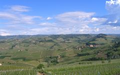 Aldo Conterno  Aldo Conterno Langhe Landscape Winery Image