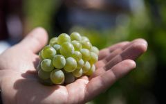 Bodegas Avancia Winery Image