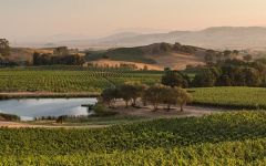 Gundlach Bundschu Gundlach Bundschu Property Winery Image
