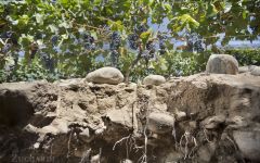 Familia Zuccardi Vineyards Soil Profile Winery Image