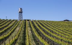 Solomon Hills Estate Solomon Hills Vineyards Water Tower Winery Image