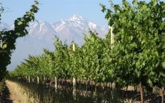 Andeluna Winery Image