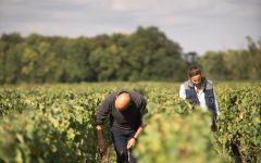 Chateau Labegorce Winery Image