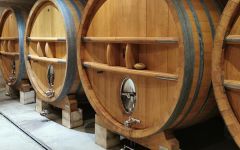 Domaine du Pere Caboche Cellar Winery Image