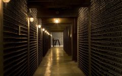 Ferrari Ferrari Cellar Winery Image