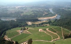Bodegas Fillaboa Winery Image