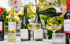 Tomorrow Cellars Winery Image
