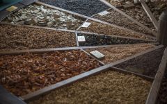 Fernet-Branca 27 Herbs and Spices Winery Image