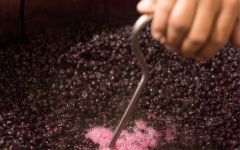 Martin Ray Cabernet Sauvignon Punch Down Winery Image