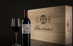 Almaviva 2013 | Wine.com