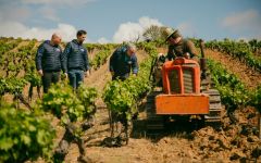 Vinos de Arganza Tilling Winery Image