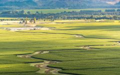 Villa Maria Marlborough Winery Image