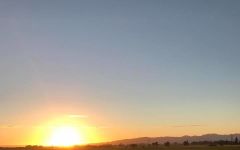 Wairau River  Winery Image