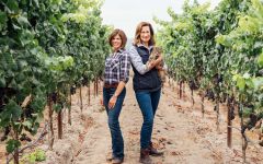 Merry Edwards Winery Image