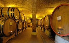 Enrico Serafino Enrico Serafino Wine Cellar Winery Image