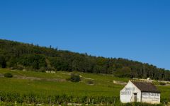 Frederic Esmonin Winery Image