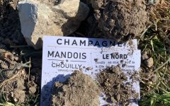 Champagne Mandois Chouilly le Nord Winery Image