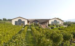 Famiglia Cotarella Famiglia Cotarella Winery Winery Image