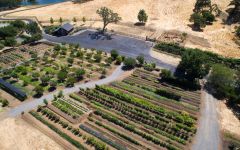 Jordan Vineyard & Winery Jordan Vineyards Winery Image