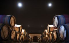 Chateau d'Issan Barrel cellar Winery Image