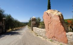 Tolaini Winery Image