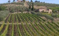 Bibi Graetz Testamatta 2001 | Wine.com