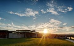 Ponzi Sunset at Ponzi Vineyards Winery Image
