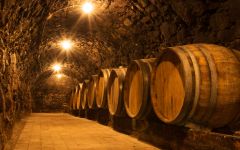 Boissy & Delaygue The Heart of the Cellar Winery Image