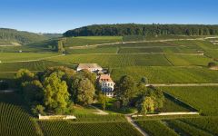 Louis Latour The Château Winery Image