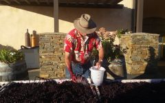 Scott Harvey Wines Checking Sugar Levels Before Pressing Winery Image