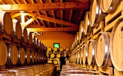 Tenuta Sant'Antonio Amarone Winery Image