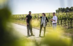 Hans Wirsching Winemaking Team Winery Image