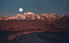 Luigi Bosca Their Lands Winery Image