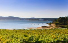 Blanquito Coast Winery Image