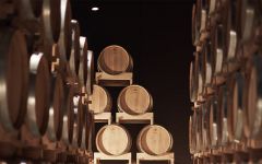 Tenuta Polvaro Barrique Cellar  Winery Image