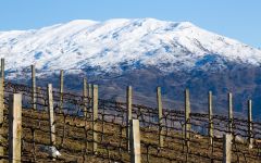 Mt Difficulty Mt Difficulty w/ Black Rabbit Vineyard Winery Image