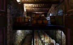 Tenuta di Capraia Winery Image