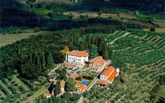 Petrolo Petrolo Winery Winery Image