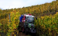 Domaine des Baumard Harvest Time at Domaine des Baumard Winery Image