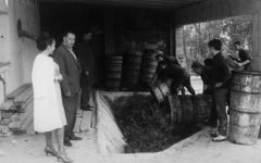Faustino Winery Image