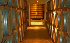 Chateau Greysac Barrel Room Winery Image